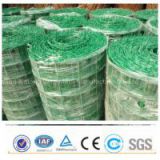 PVC Coated Euro Mesh Fencing