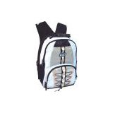 Fashion Laptop Backpack/computer backpack/shoulder backpack (GO-LP-009)