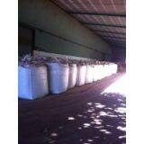 HOT SALE VIETNAM CASHEW SHELL & CASHEW HUSK 84915601238 thumbnail-2