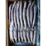 Supply Pacific Saury thumbnail-2
