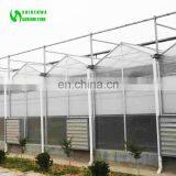 Multispan Tunnel Polycarbonate Panel Greenhouse for Agriculture thumbnail-6