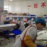 China Aaaa Cheap Quality Walnut Kernel thumbnail-2