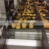 1 Year Warranty Industrial Automatic Croquette Kubba Coxinha Making Machine thumbnail-4