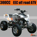 2011 Sports ATV EEC Approved Offroad thumbnail-1