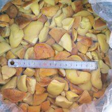 BOLETUS EDULIS IN BRINE