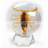 Promotional gifts Real resin 60mm acrylic yellow scorpion marble ball