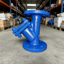 Customizable Flanged Y-Strainer for Marine Diesel Fuel Filtration thumbnail-3