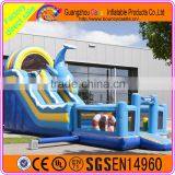 Blue Whale Inflatable Water Slide