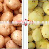 MD-15 Intustry Electric Stainless Steel Potato Peeler Quality Choice thumbnail-3