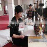 Guangzhou Zhaoli Tent Technology Co., Ltd. company overview - view 2 thumbnail