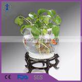 Wholesale Cheap Good Quality Large Glass Fish Bowl, Round Glass Fish Bowl Fish Shaped thumbnail-2