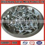 Manufacturer Galvanized Umbrella Head Roofing Nails thumbnail-1