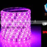 5050 Led Strip 60 Leds Rgb AC220/240/110V thumbnail-2