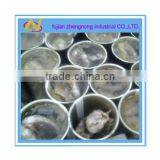 Better 155g Canned Mackerel Fish in Tomato Sauce(ZNMT0079)