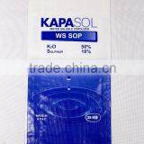 PP Color Woven Bag Cement Pack/PP SACK