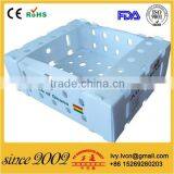 Reusable Collapsible Polypropylene Corrugated Plastic Blueberry Packaging Box