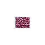 Purple Speckled Kidney Bean thumbnail-3