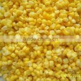 CANNED FOOD WITH VERY FAIR PRICE CANNED SWEET CORN WITH VERY GOOD TASTE SWEET FLAVOR