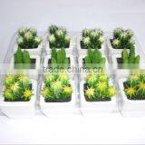 Artificial Cactus Simulation Succulent Plant For Wholesale Cheap Price Bonsai