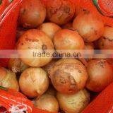 Fresh Yellow Onion With Export Standard