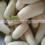 GL-380 Full Automatic Potato Vegetable and Fruit Washing and Peeling Machine thumbnail-5