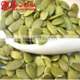Chinese Green Kernel Pumpkin Seeds thumbnail-1