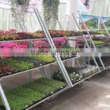 Garden Flower Display Shelf / Metal Storage Shelf thumbnail-2