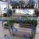 EL-155 Shelf for Potted Plant thumbnail-1
