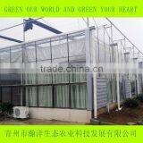 Multi Span Glass Greenhouse for Agriculture Planting thumbnail-2