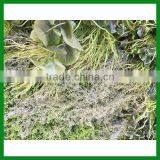Artificial Garden Decorative Plant Wall thumbnail-4