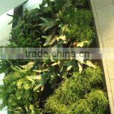 Home and Outdoor Decoration Synthetic Cheap Artificial Vertical Green Grass Wall E08 04Q47 thumbnail-6
