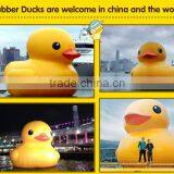 Toys for Kids New Hot Product!English Educational Toy Cartoon Story Machine,children Toy rc Story Machine thumbnail-5