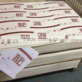 pe Coated Paper Raw Material for Disposable Food Container/paper Bowl thumbnail-1