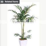 Indoor Home Decorative Artificial Bonsai Tree for Sale and for Hotel and House Landscape thumbnail-3
