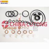 Наборы для ремонта топливных инжекторных насосов на дизельном топливе. Насос VE 800636. Набор для капитального ремонта для деталей автомобильных двигателей thumbnail-1