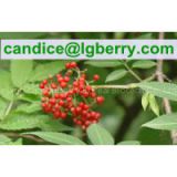 Fruit blend 100% pure elderberry fruit powder