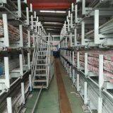 Electric Cantilevered Shelves thumbnail-5