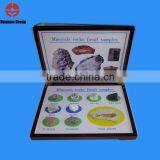 Minerals Rocks Fossil Specimen