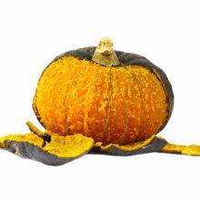 Wholesale Delicious Sweet Pumpkin Seeds for Growing