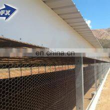 Prefab Commercial Cheap Steel Frame Structure Chicken Poultry Farm House For 10000 Chickens thumbnail-3