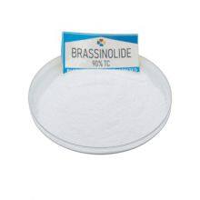 Agriculture Plant Growth Regulator Natural Pesticide Brassinolide 90%tc thumbnail-1