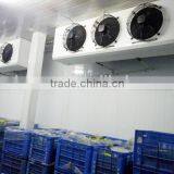 Cold Room Indoor Refrigeration Evaporator Equipment thumbnail-2
