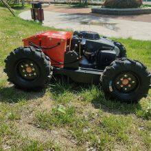 Hybrid Walking Speed 0~6Km/H Self-Powered Dynamo Lawn Weeding Machine Remote Control thumbnail-3