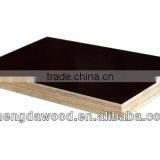 Poplar Core Black Film Film Faced Plywood Malaysia Market thumbnail-1
