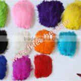 Natural Craft Ostrich Feather Fabric And Blue Decoration Ostrich Feather Coat thumbnail-3