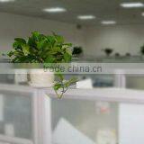 Zhengzhou Hongdetang Health Industry Co., Ltd. company overview - view 3 thumbnail