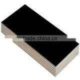 12mm 15mm 18mm Poplar Core Film Faced Plywood Sheets thumbnail-2