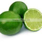 FRESH GREEN LIME - HIGH QUALITY