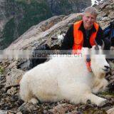 GPS Tracker,MT-60, Wild Animal Location Monitoring