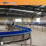 Completely Filled Bottle Output Conveyor